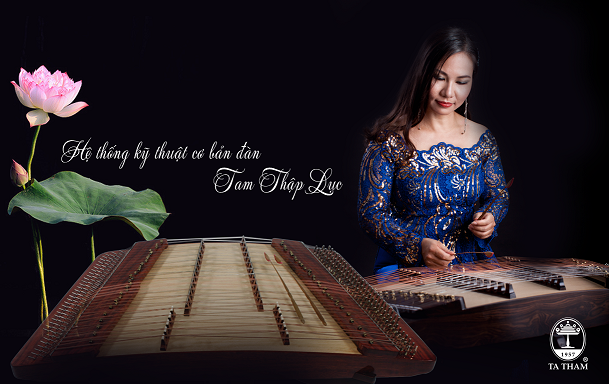 Hệ thống kỹ thuật về Đàn Tam Thập Lục