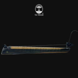 Đàn bầu BTE1 Đàn bầu BTE1