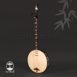 Đàn nguyệt NE2 Đàn nguyệt NE2