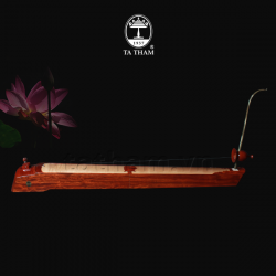 Đàn Bầu BGB1 Đàn Bầu BGB1