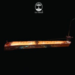 Đàn Bầu BGB2 Đàn Bầu BGB2