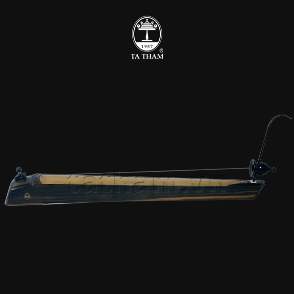 Đàn bầu BTE1 Đàn bầu BTE1